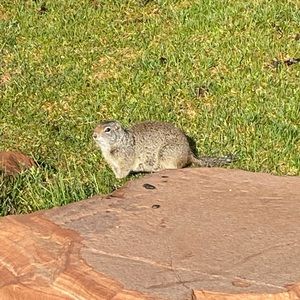 Meet your Posher, Meg